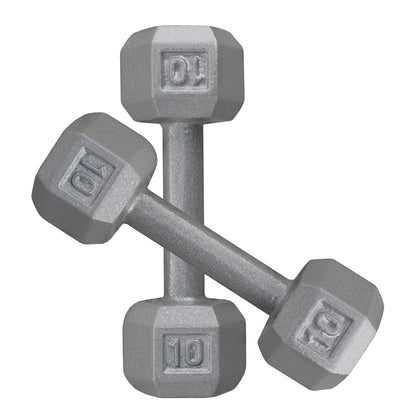 Deltech Fitness  Fitness  Fitness 10 lb Dumbbell Pair (DBP-010)