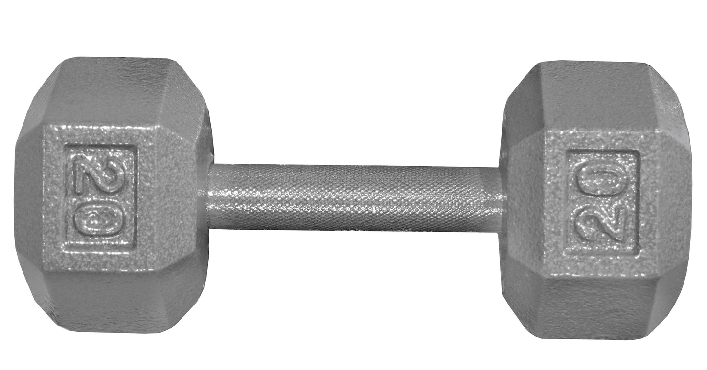 Deltech Fitness 20 lb Dumbbell Pair (DBP-020)