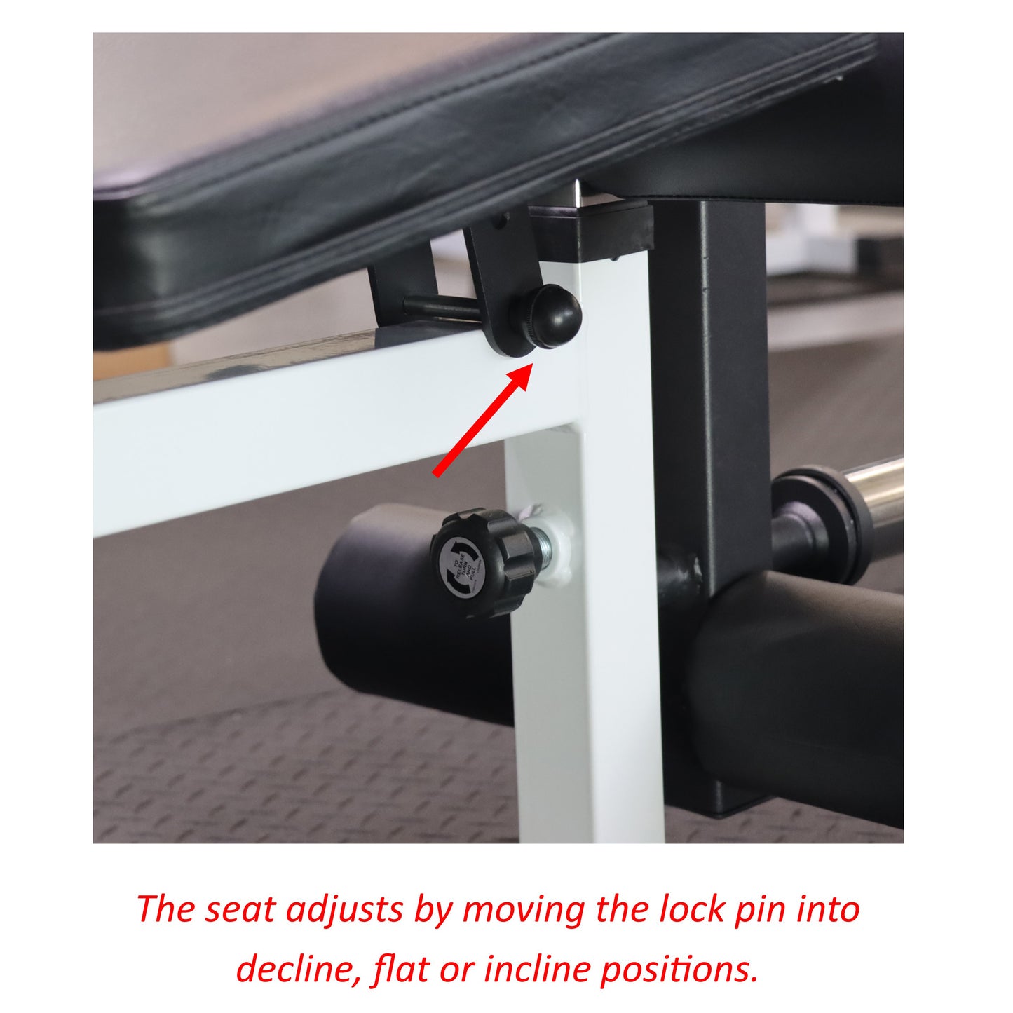 Deltech Fitness Olympic Squat Combo Bench (DF1050)