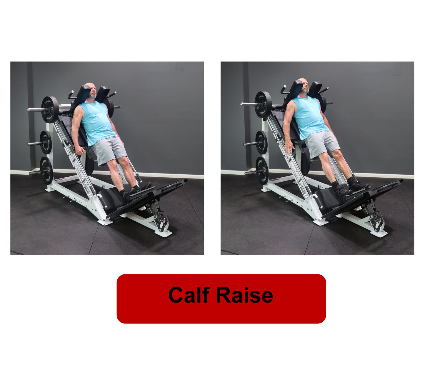 Deltech Fitness DF809- Linear Bearing Hack Squat/Leg Press (Hip Sled)