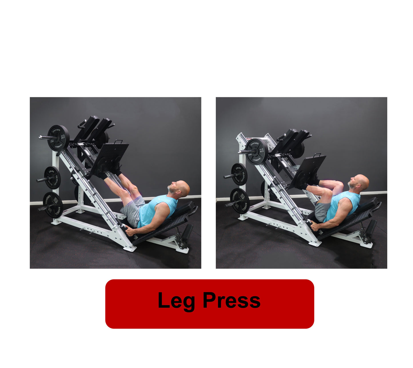 Deltech Fitness DF809- Linear Bearing Hack Squat/Leg Press (Hip Sled)