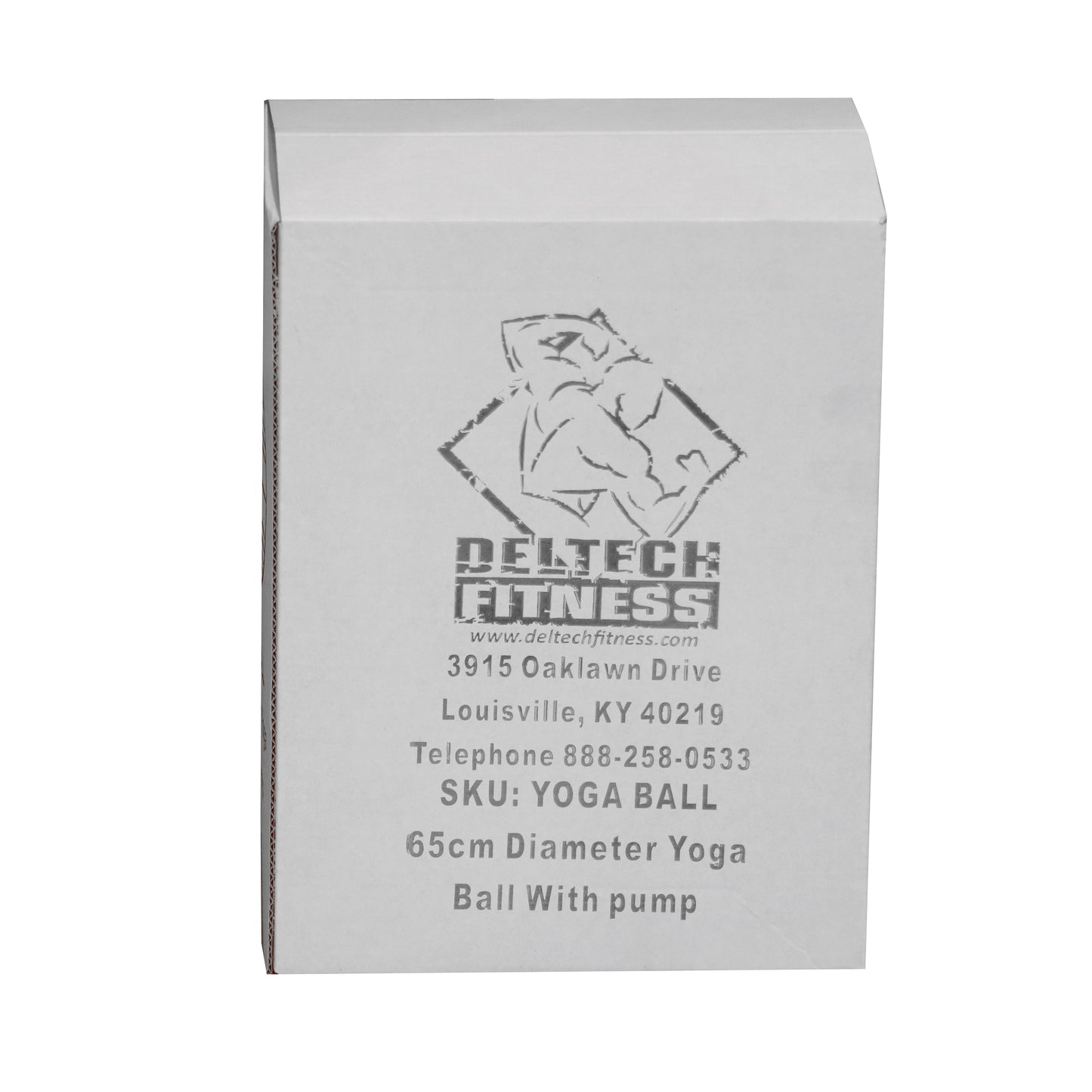 Deltech Fitness 65 cm Yoga Ball (DFBALL)