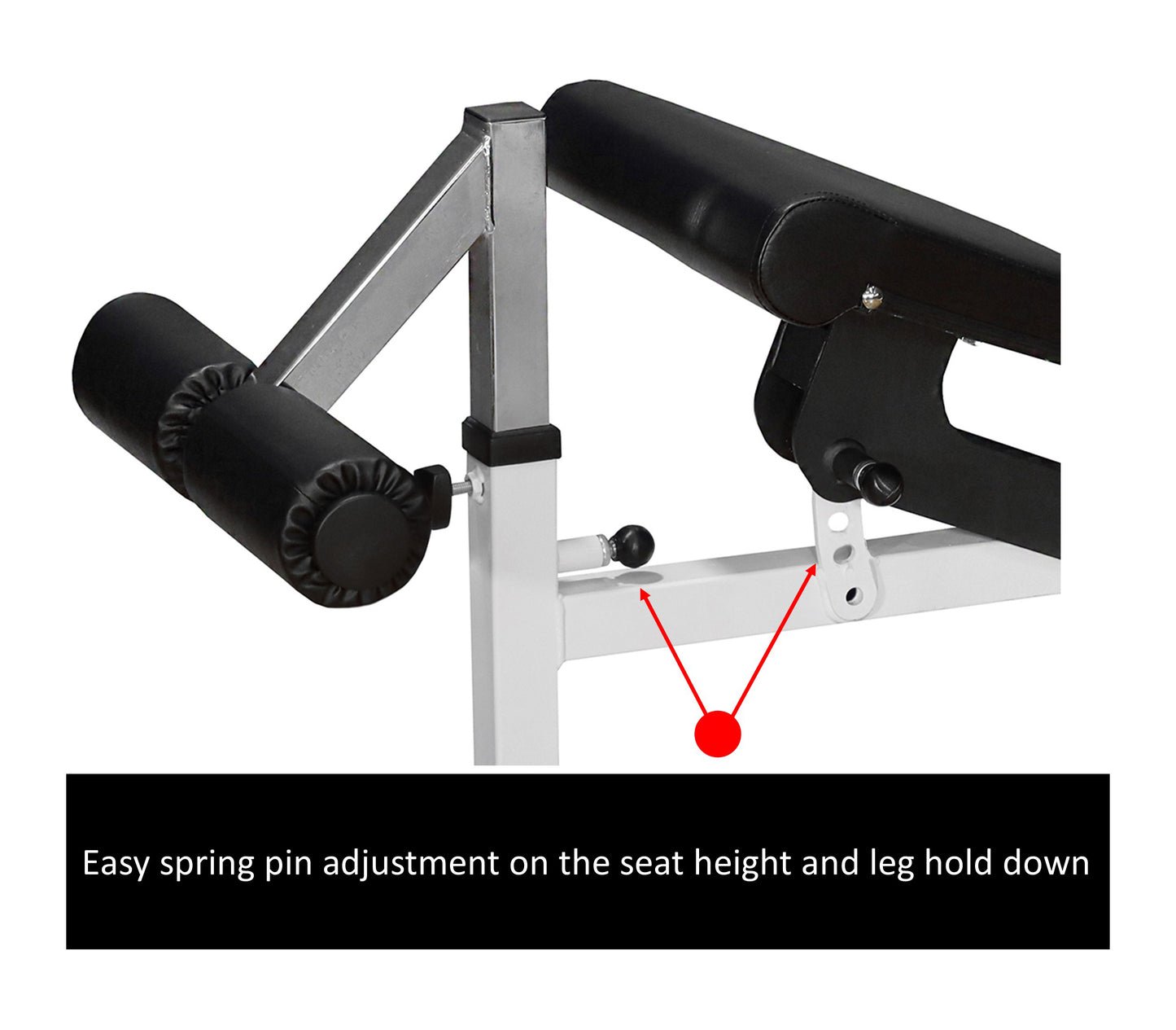 Flat/Incline/Decline Bench (DF9600)