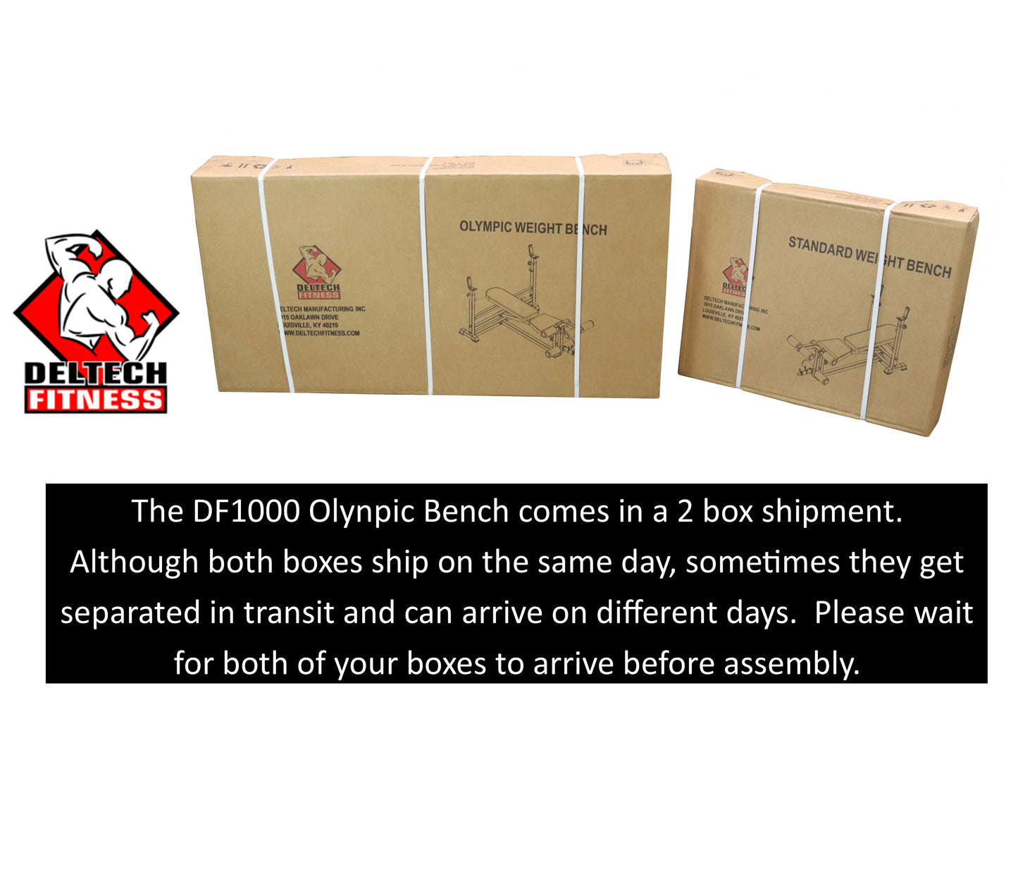 Deltech Fitness Olympic Weight Bench (DF1000)