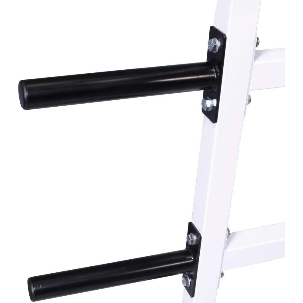 Squat Rack (DF4400)