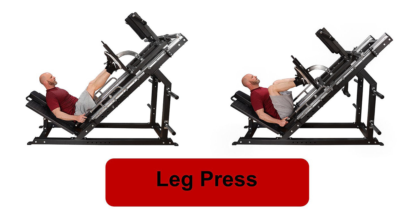 DF809- Linear Bearing Hack Squat/Leg Press (Hip Sled)