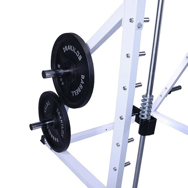 df4900_weight_holder_with_weights.jpg