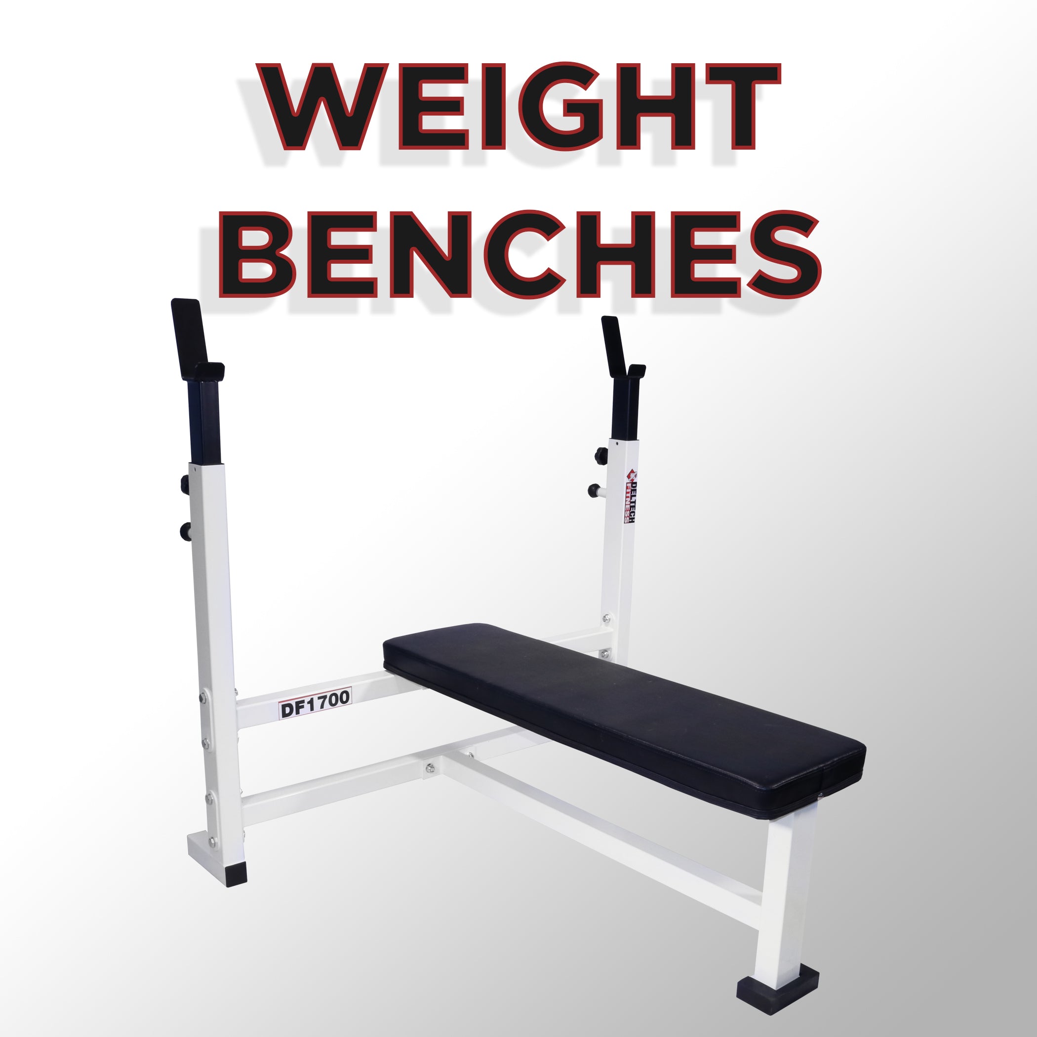 Container Weight Bench Weight Benches – Deltech Fitness
