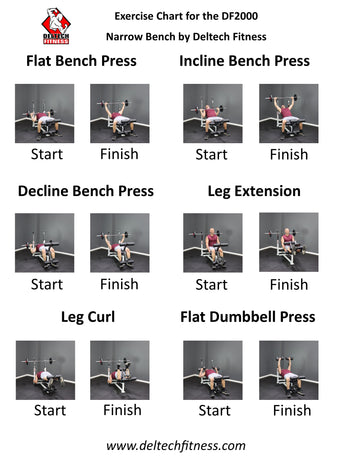 Bench Press Program Chart Standard Weight Bench (DF2000) – Deltech