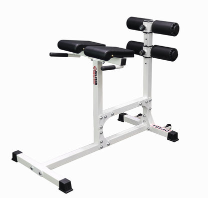 Deltech Fitness Deluxe Hyper-extension Bench (DF405)