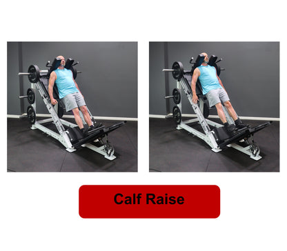 Deltech Fitness DF809- Linear Bearing Hack Squat/Leg Press (Hip Sled)