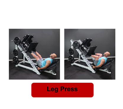 Deltech Fitness DF809- Linear Bearing Hack Squat/Leg Press (Hip Sled)