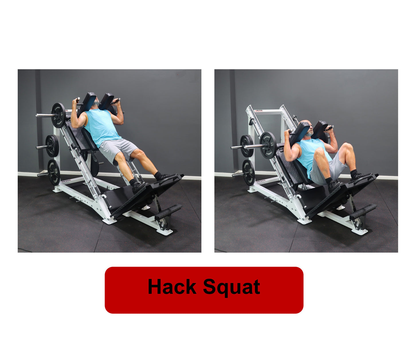 Deltech Fitness DF809- Linear Bearing Hack Squat/Leg Press (Hip Sled)