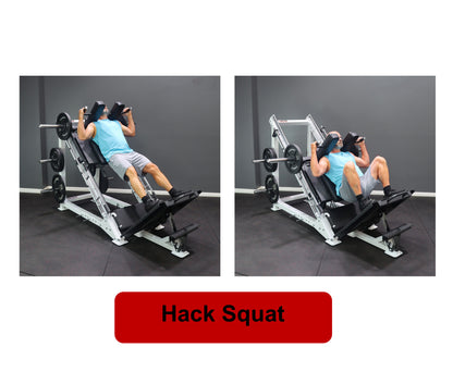 Deltech Fitness DF809- Linear Bearing Hack Squat/Leg Press (Hip Sled)