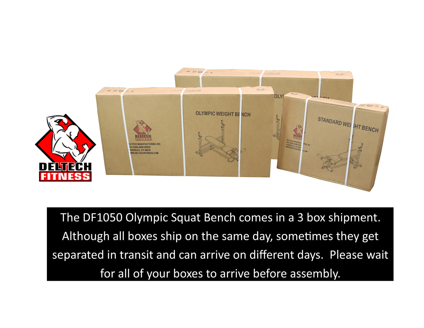 Deltech Fitness Olympic Squat Combo Bench (DF1050)