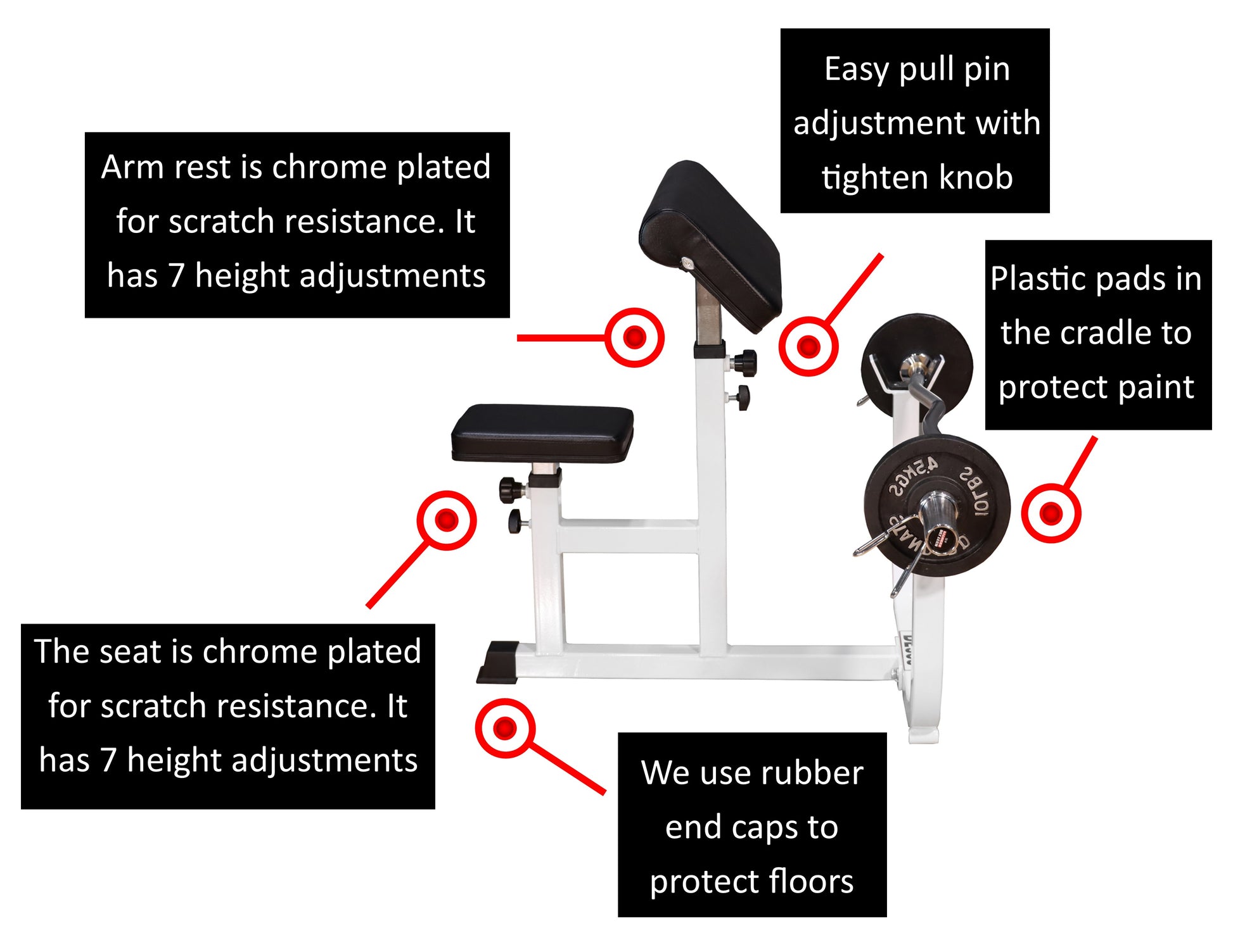 DF308 Preacher Curl Bench features